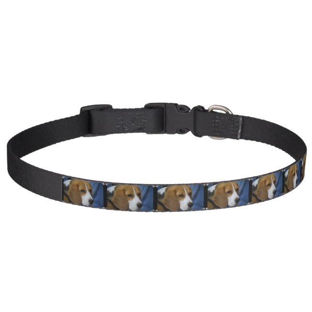 Cute Beagle Pet Collar (Front)