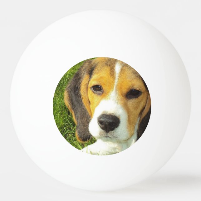 Cute Beagle Ping Pong Ball (Front)