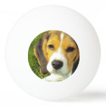 Cute Beagle Ping Pong Ball