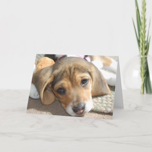 Cute Beagle Puppy Birthday Card