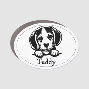 Cute Beagle Puppy peeking Car Magnet