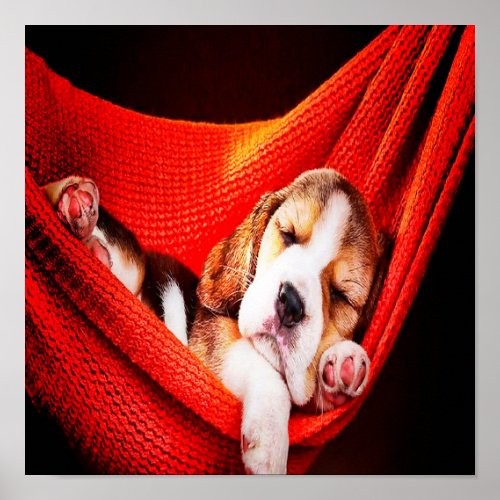 Cute Beagle puppy Print  Sleeping Dog Decor