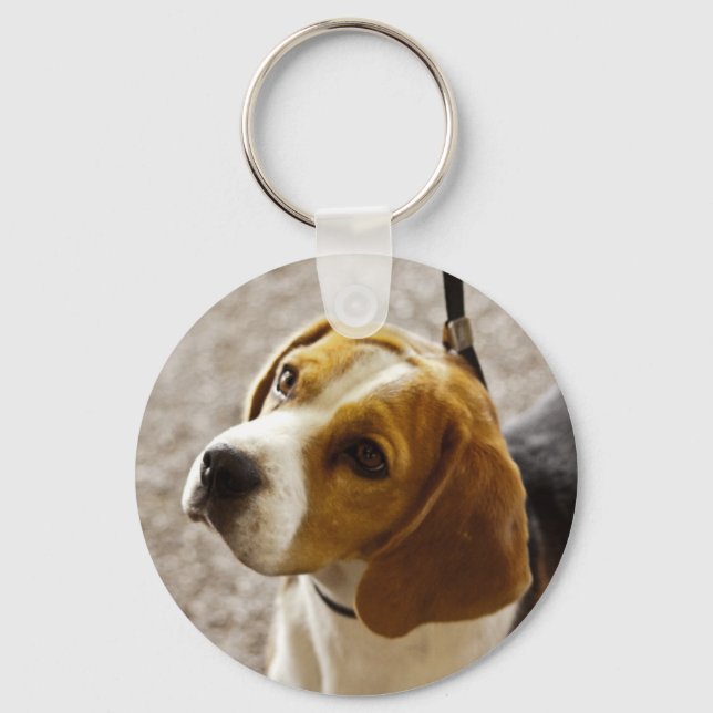 Cute Beagle waiting for treats! Keychain (Front)