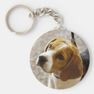 Beagle Dog Key Ring  Mans Best Friend hound pet lead copper pooch k9 hunt work 