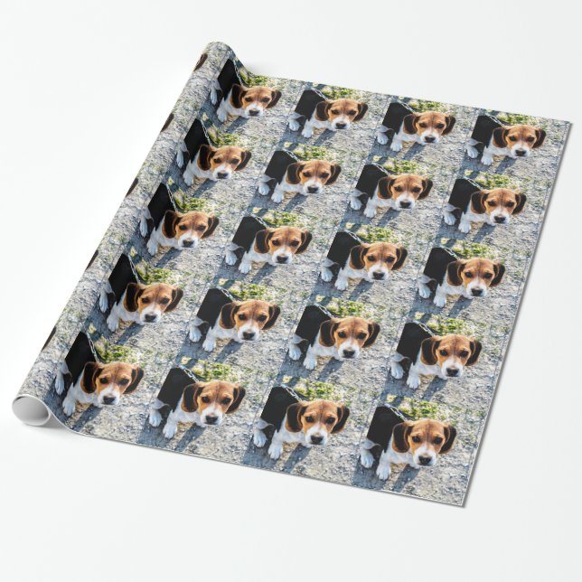 Cute Beagle Wrapping Paper (Unrolled)