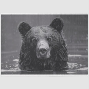 Cute Bear Black and White Decoupage Tissue Paper