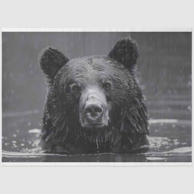 Cute Bear Black and White Decoupage Tissue Paper (Front)