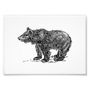 Cute Bear Cub Photo Print