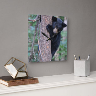 Cute Bear Cub Tree Or Your Own Photo Square Wall C Square Wall Clock