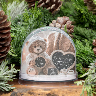 Cute Bear Gender Neutral Baby Announcement Snow Globe