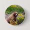 Cute Bear in the Forest Woodland Animal pin button