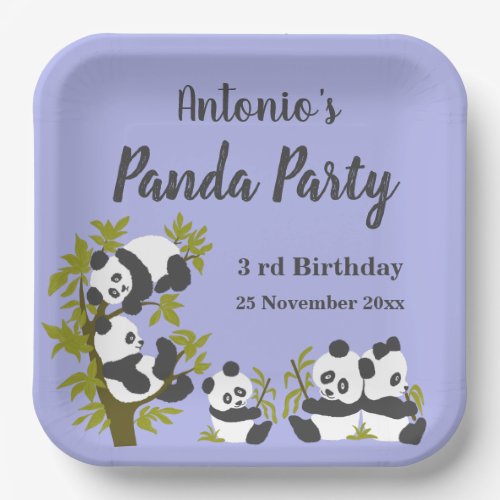 Cute Bear Pandas Party Boy Birthday Gift  Paper Plates
