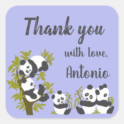 Cute Bear Pandas Party Boy Birthday Gift Thank you Square Sticker