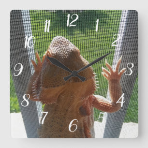 Cute Bearded Dragon Climbing Photo Print Square Wall Clock