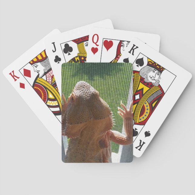 Cute Bearded Dragon Photo Print Poker Cards (Back)