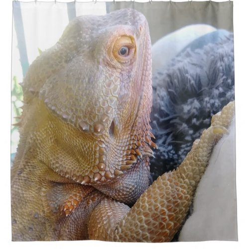 Cute Bearded Dragon up Close Picture Shower Curtain