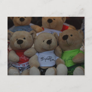 Cute Bears Postcard