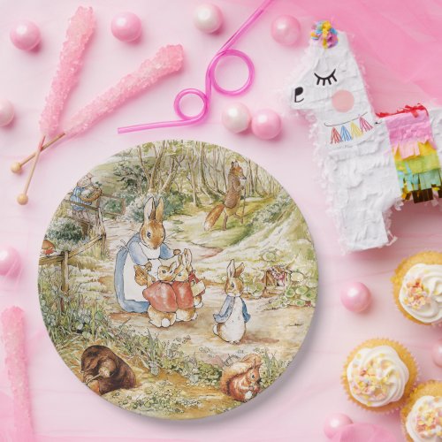 Cute Beatrix Potter Peter and Friends  Paper Plates