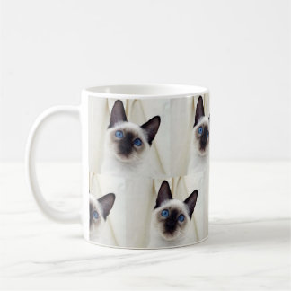 Cute Beautiful Black White Pet Siamese Kitten Cat Coffee Mug