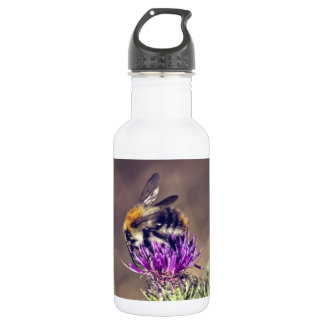 Cute bee on a thistle water bottle