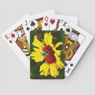 Cute Bee Rests on Yellow Orange Wildflower Poker Cards