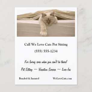 Cute Beige Cat Sleeping On Beige Bed Flyer