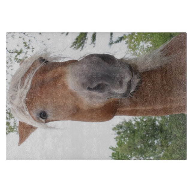 Cute Belgian Draft Horse Face Animal Cutting Board (Front)