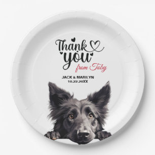 Cute Belgian Sheepdog Art Birthday Party Paper Plates