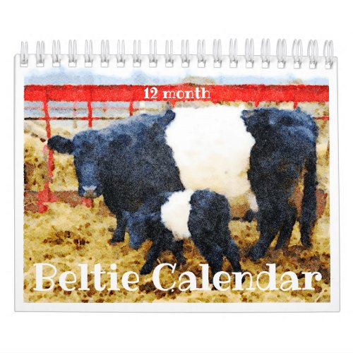 Cute Belted Galloway Beltie Striped Cow Calendar