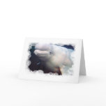Cute Beluga Whale Greeting Card