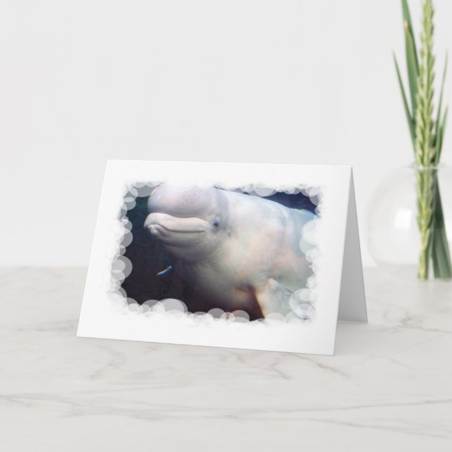 Cute Beluga Whale Greeting Card (Front)