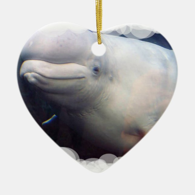 Cute Beluga Whale Ornament (Front)