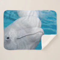 Beluga best sale whale blanket