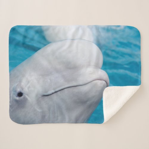 Cute Beluga Whale Sea Animal Sherpa Blanket