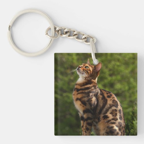 Cute Bengal Cat Birthday Keychain