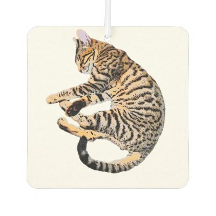 Cute bengal comic style air freshener