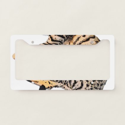 Cute bengal comic style license plate frame