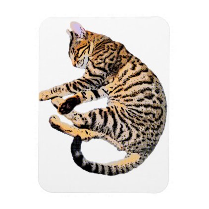 Cute bengal comic style magnet