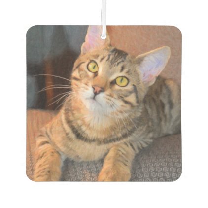 Cute Bengal Kitten Air Freshener