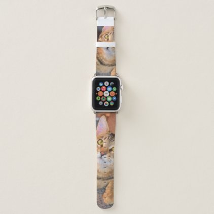 Cute Bengal Kitten Apple Watch Band