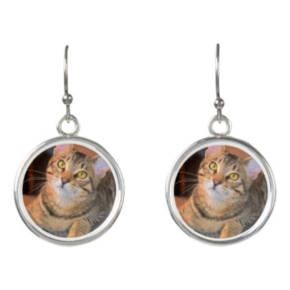 Cute Bengal Kitten Earrings