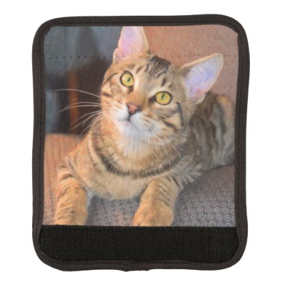 Cute Bengal Kitten Handle Wrap