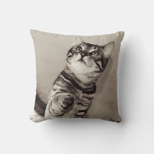 Cute Bengal Kitten Photo Throw Pillow