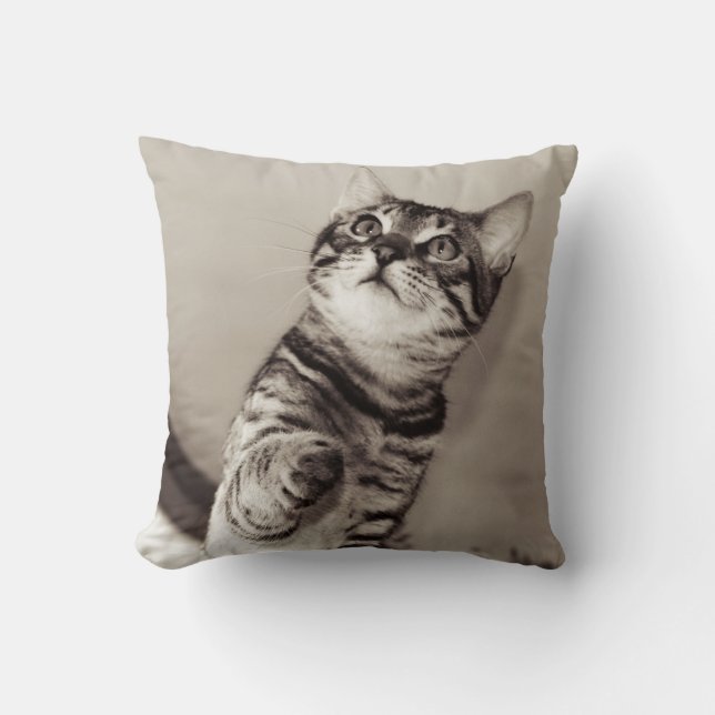 Cute Bengal Kitten Photo Throw Pillow (Front)