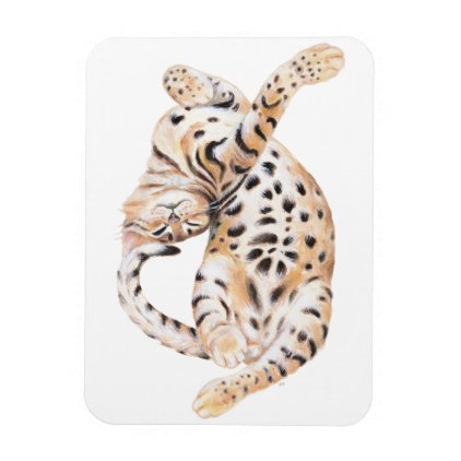 Cute Bengal Kitten Stretch Magnet