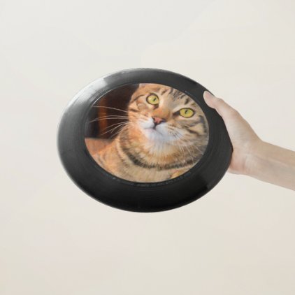 Cute Bengal Kitten Wham-O Frisbee