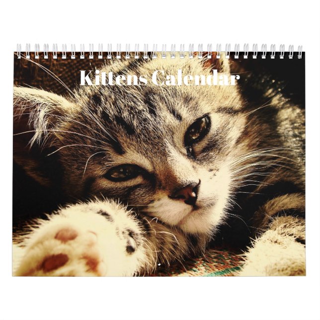 Cute Bengal Kittens 2026 Calendar (Cover)