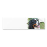 Cute Bernese Bumper Sticker