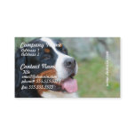 Cute Bernese Business Cards