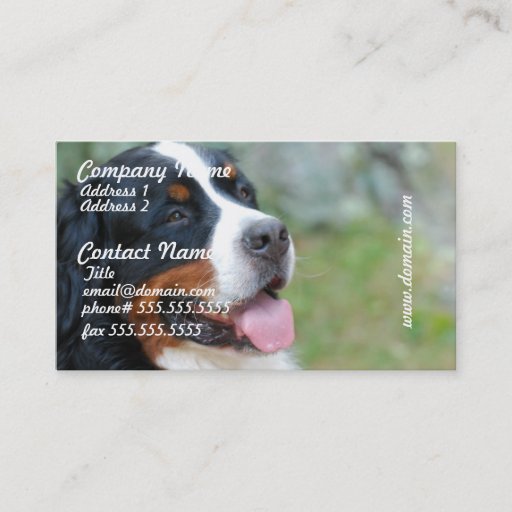Customizable Cute Bernese Business Cards